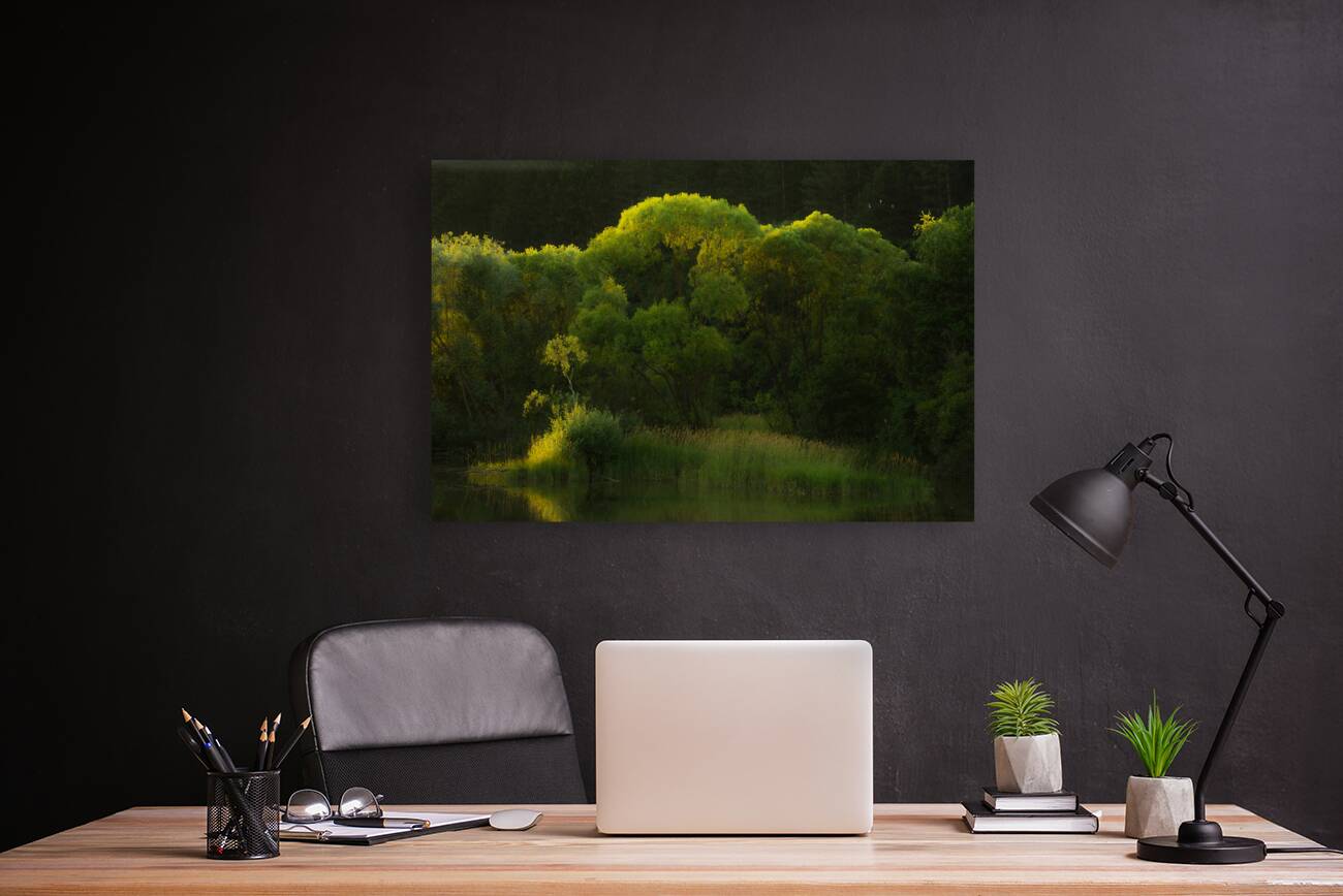 Forest 69 W Reproduction