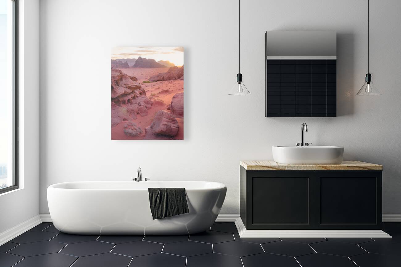 Desert 3 Reproduction