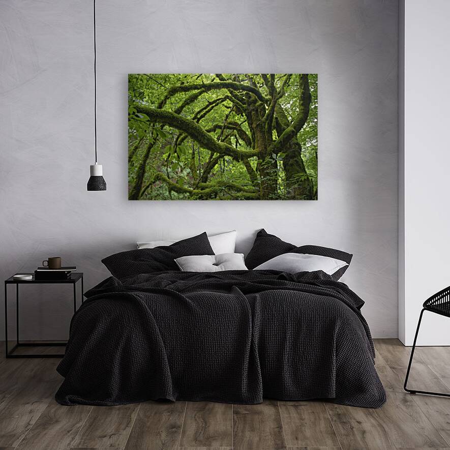 Tree 2 W Reproduction