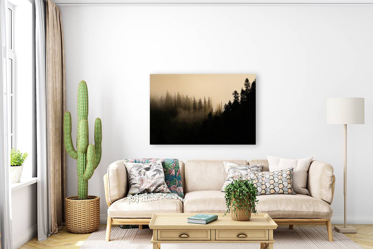 Forest 6 W Reproduction