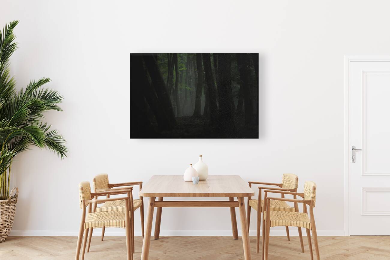 forest 10 Reproduction