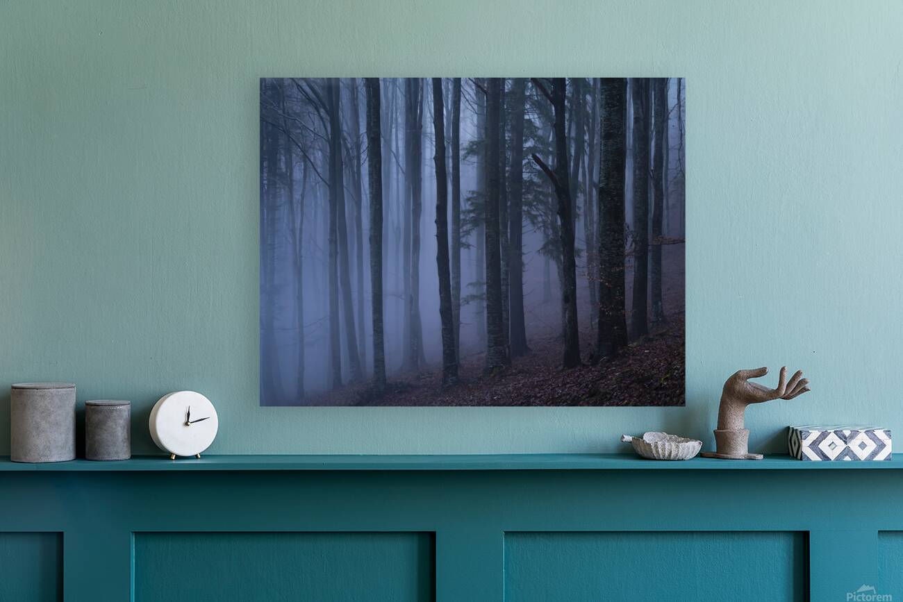 forest 18 W Reproduction