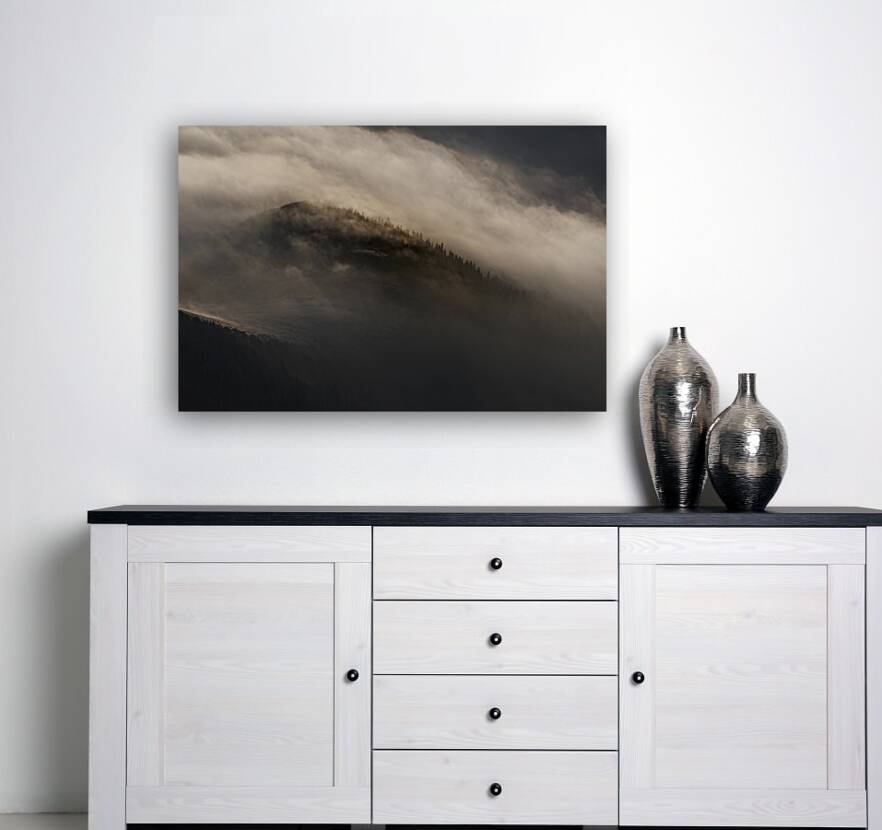 forest 39 Reproduction