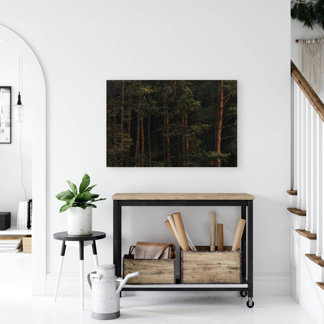 forest 25 big W Reproduction