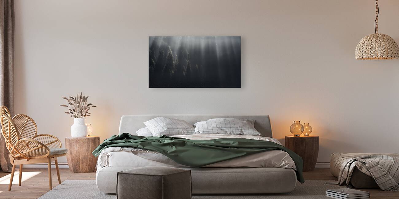 forest 12 W Reproduction