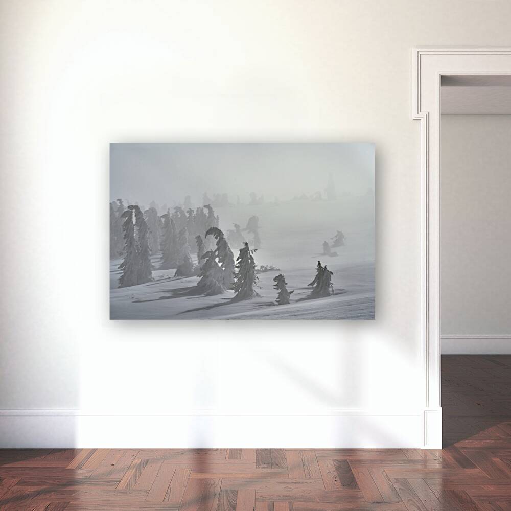 forest 23 W Reproduction