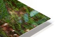 River 2 W HD Metal print