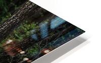 forest 3 HD Metal print
