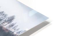 forest 2 W HD Metal print