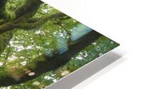 Tree 2 W HD Metal print