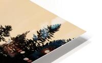 Forest 6 W HD Metal print