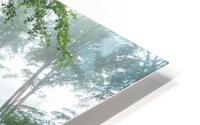 Forest 4 HD Metal print