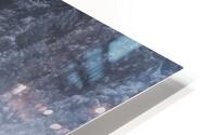 forest 20 W HD Metal print