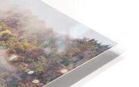 forest 35 W HD Metal print