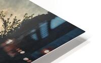 forest 29 W HD Metal print