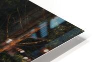 forest 25 big W HD Metal print