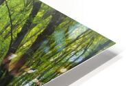 forest 24 W HD Metal print