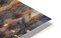 forest 16 W HD Metal print