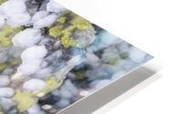 abstract nature 2  HD Metal print