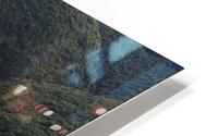 forest 26 HD Metal print