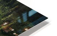 forest 30 HD Metal print