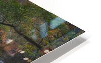 River 3 W HD Metal print