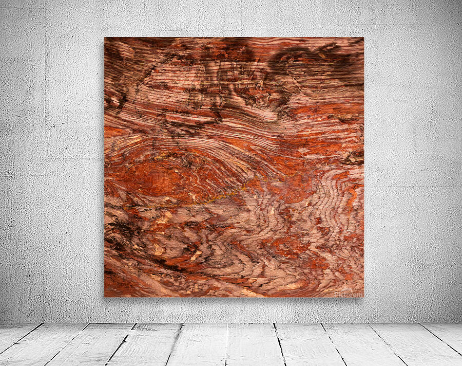 abstract nature 7 Wall Preview