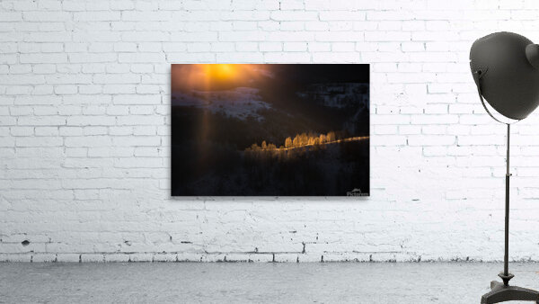 Forest 1 W Wall Preview