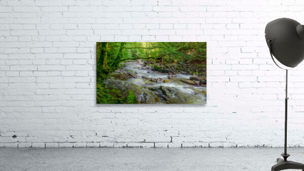 River 2 W Wall Preview