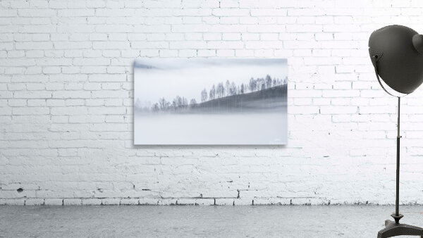 forest 2 W Wall Preview