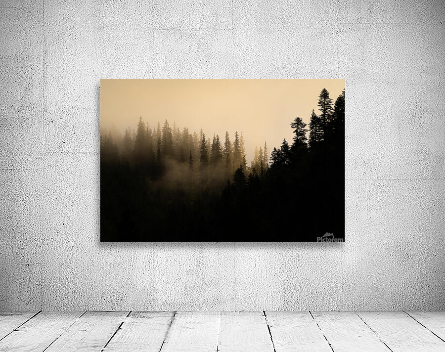 Forest 6 W Wall Preview
