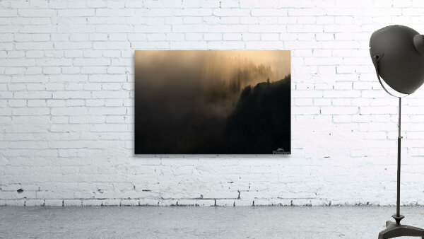 Forest 8 Wall Preview