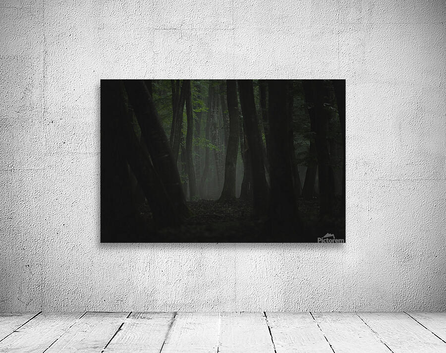 forest 10 Wall Preview