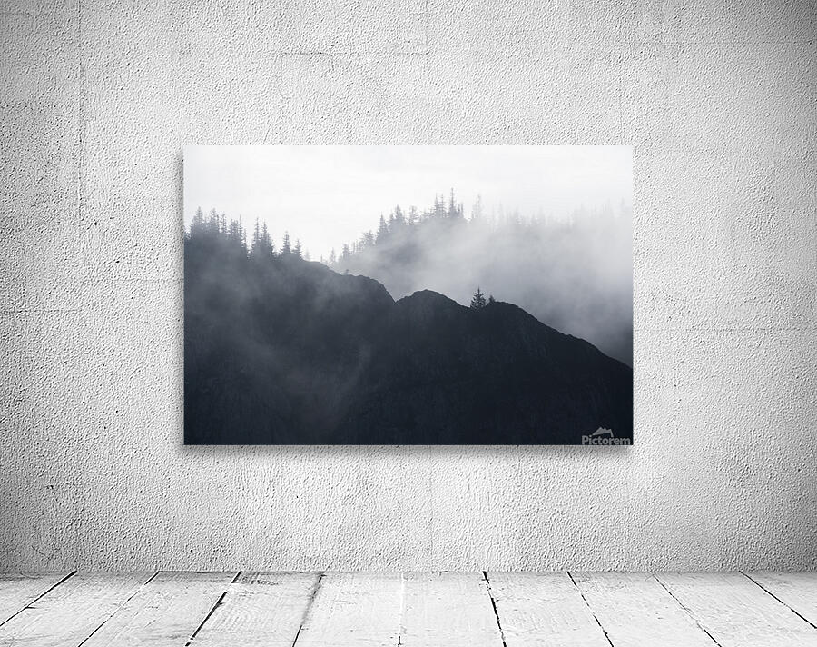 Forest 7 Wall Preview