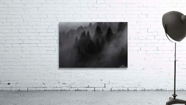 forest 37 Wall Preview