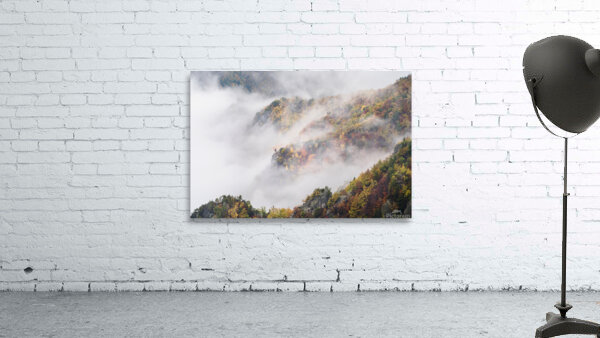 forest 35 W Wall Preview