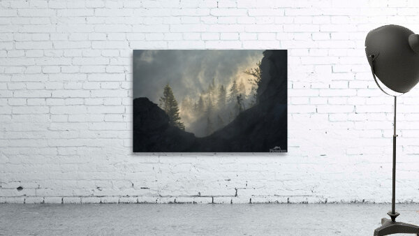 forest 29 W Wall Preview