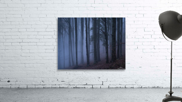forest 18 W Wall Preview