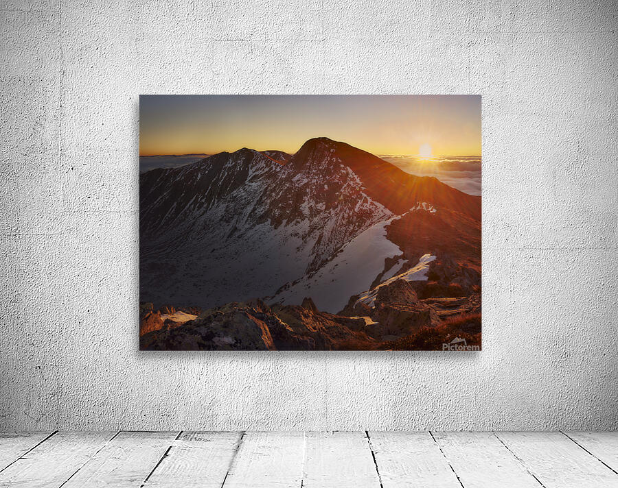 Mountain 44 W Wall Preview