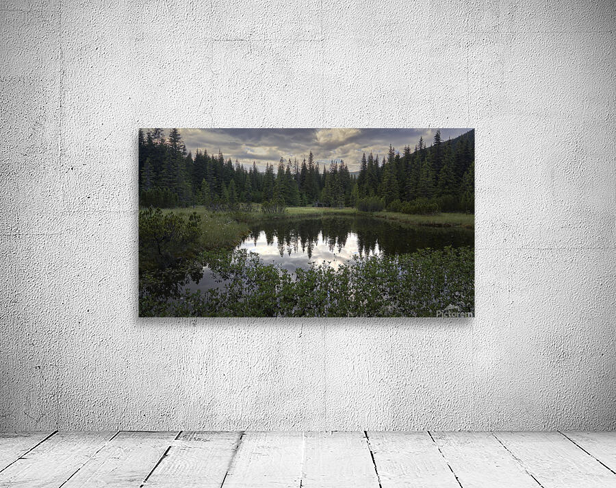 Lake 2 W Wall Preview