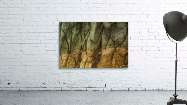 abstract nature 3  Wall Preview