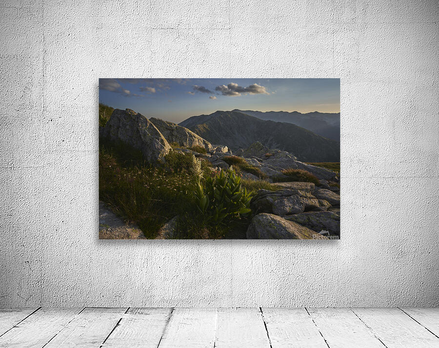Mountain 22 Wall Preview