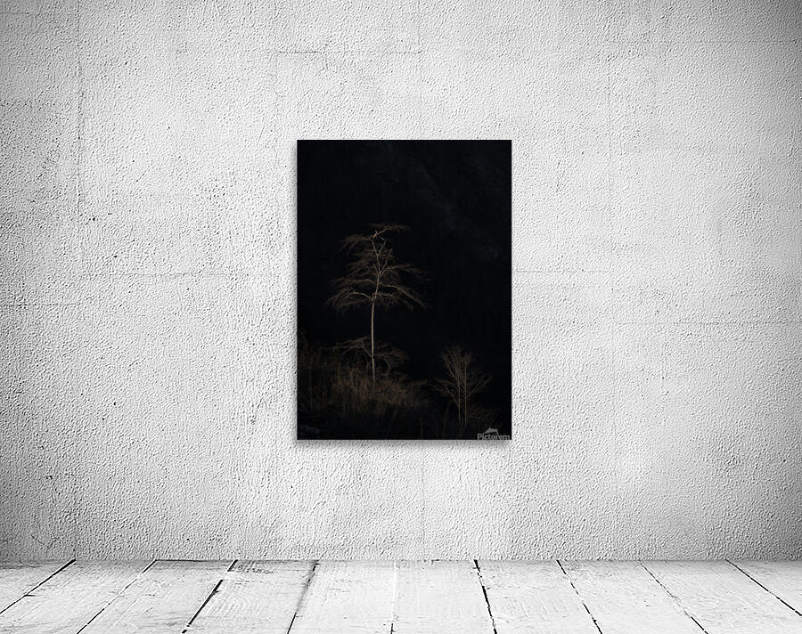 tree 5 Wall Preview