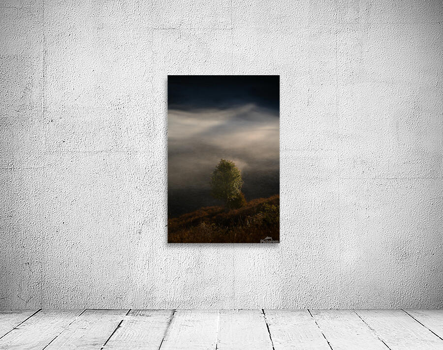 Tree 11 Wall Preview