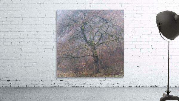 tree 4 Wall Preview
