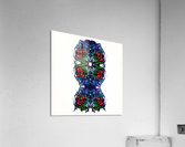 NATURE FACE Acrylic Print