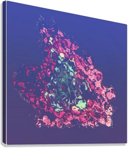 SOFT EXPLOSION Canvas Print