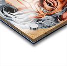 Ian McKellen  Acrylic print