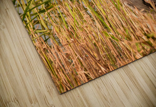 Heron with a Snack Kyle Moak puzzle
