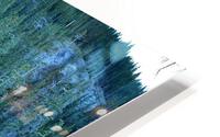 Grassi Lake Trail HD Metal print